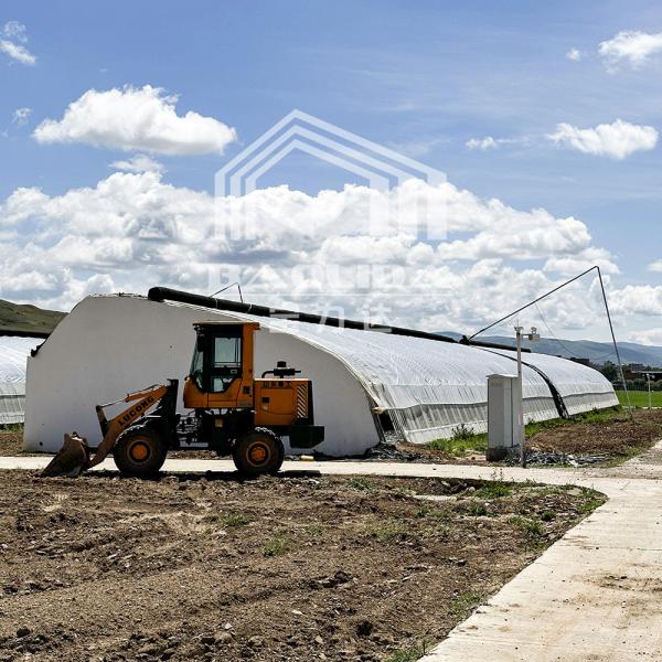 Buy cheap Plastic Film Agricultural Greenhouse With High Insulation Automatic Air Circulation from wholesalers