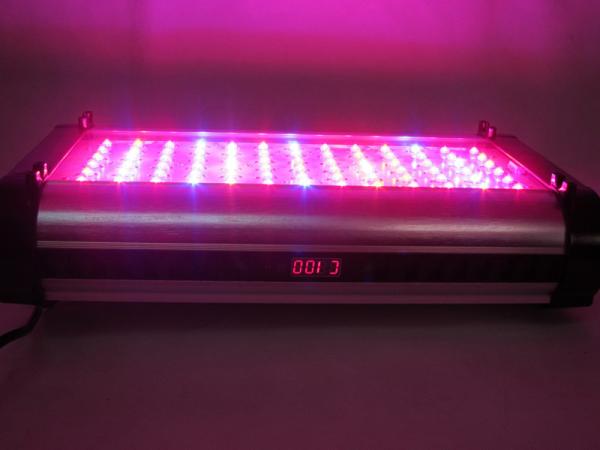 Buy cheap Cidly 150w led grow panel lighting, 2 channel control independent dimming. from wholesalers