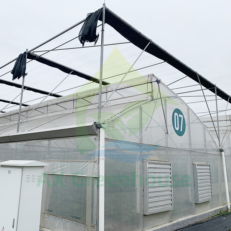 Large Multi Span Poly Tunnel Film Agricultural Tomato Growing Greenhouse