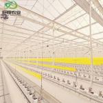 Green Leaves Vegetables Wide Span Agricultural Greenhouse with Customized