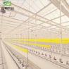 Buy cheap 30-Day Return Refunds Double Layer Juxiang Agriculture Greenhouse for Tomatoes Farm in Africa from wholesalers