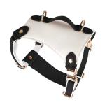 Manufacture Direct Selling Durable Dog Harness Walking Pet Accessory Waterproof