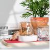 Buy cheap Factory Price Green Transparent Luxurious Candle Jars Candle Glass Jar With Box from wholesalers