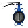 Buy cheap DN50 PN16 Ductile Iron Handle Clamp Soft Seal Butterfly Valve Bolted Connections from wholesalers