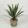 Buy cheap Artificial Flexible Glue Agave Americana Plant from wholesalers