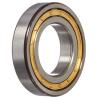 Buy cheap WJP 120X240P-M1 Single Row Cylindrical Roller Bearings For Superior Performance from wholesalers