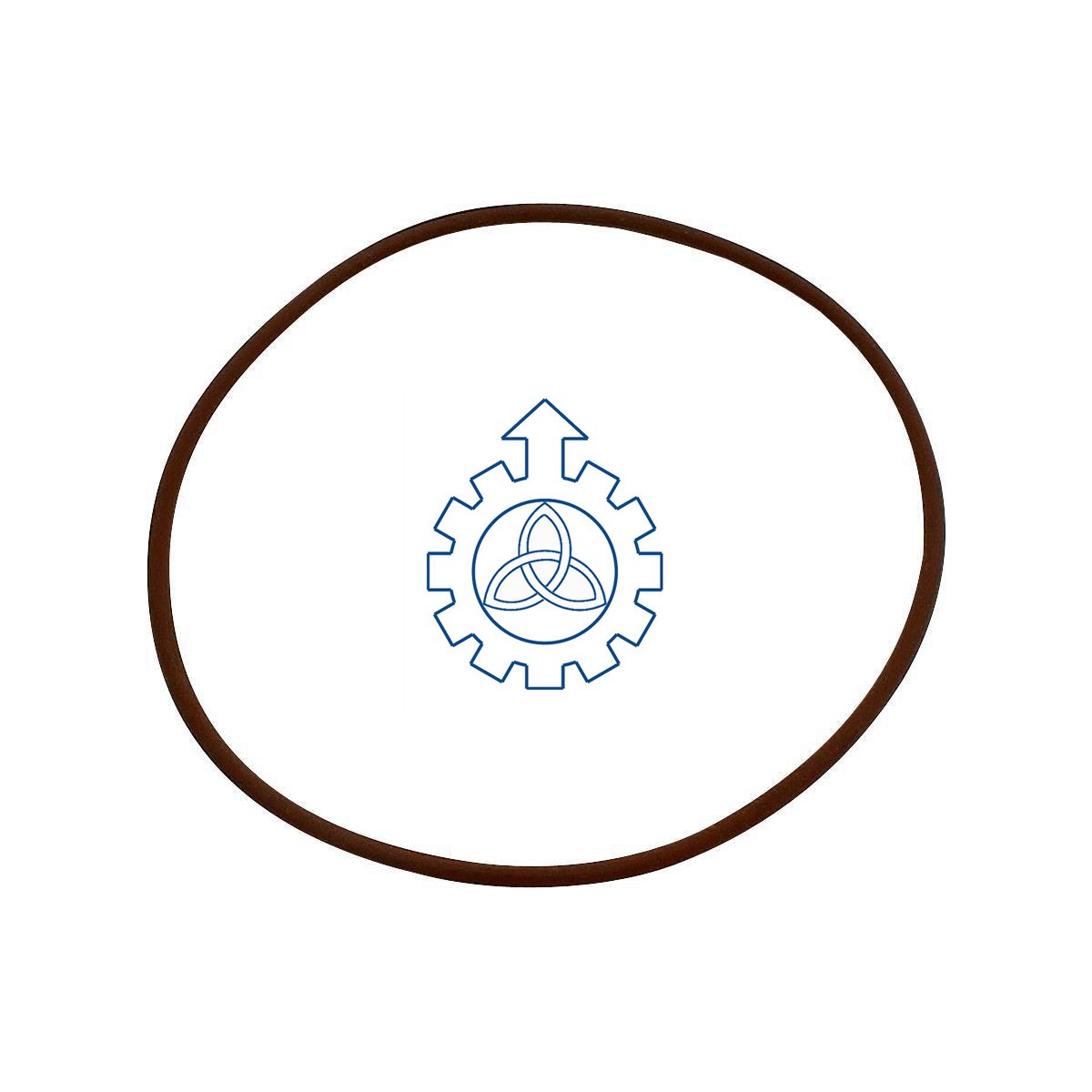 O-ring 17285681