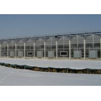 Buy cheap PC Sheet Cover Material and Commercial Vegetables Seeds Vertical Farming product