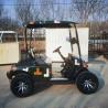 Buy cheap OEM Mini Aetric 2 Seater Golf Cart 30mph With Lead Acid Battery from wholesalers