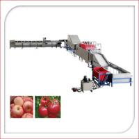 Buy cheap Automatic Electronic Fruit Washing And Waxing Machine 5MT/H product