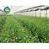 Buy cheap Commercial Plastic Film 4m Multi Span Greenhouse For Vegetables from wholesalers