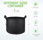 Manufacturers cross - border production batch environmental protection seedling