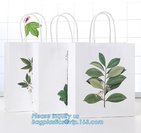 china custom design luxury shopping gift paper carrier bag template,Luxury Kraft Brown Paper Shopping Gift Jewelry Paper