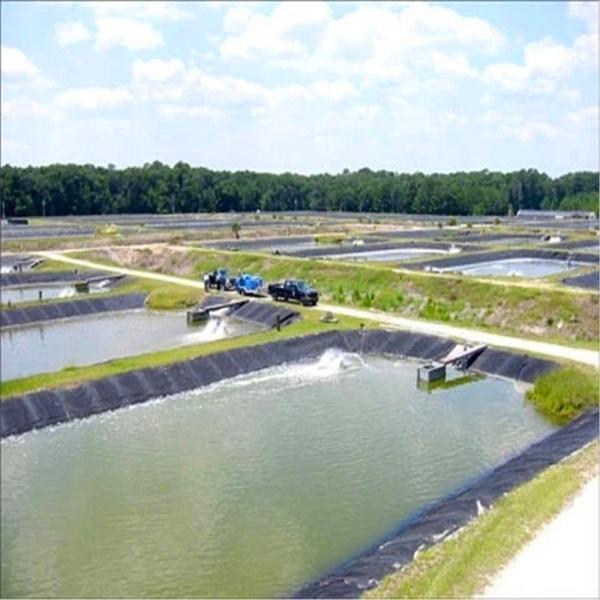 Buy cheap 100% Virgin Material HDPE Geomembrane Pond Liner Industrial Design Style UV Protection from wholesalers