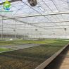 Buy cheap UV Resistant Plastic Film Greenhouse from wholesalers