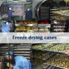 Buy cheap Food Fruits Vegetables Industrial Drying Machine Large Freeze Dryer Machine Manufacturers from wholesalers