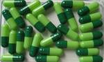 Pharmaceutical Small Automatic Capsule Filling Machine for Hard Capsule Powder