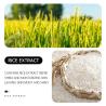 Buy cheap Natural Organic Skin Care Toner Niacinamide Glow Essence Rice Water Face Tone GMPC from wholesalers