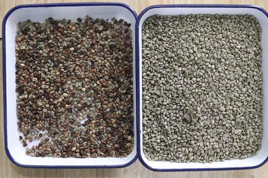 Lentil Color Sorter Machine For Choosing Red White And Black Color