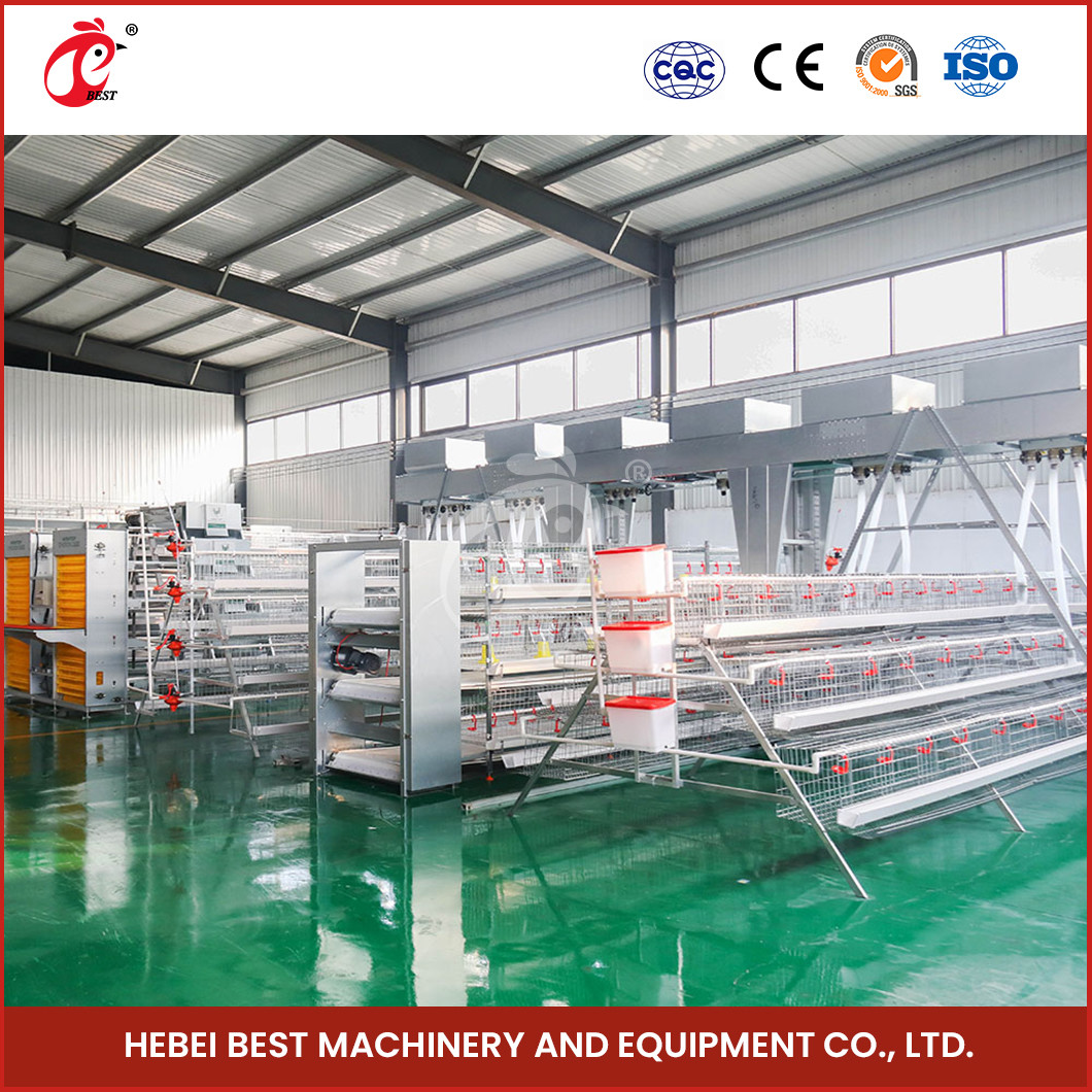80-100kg Cage Weight H Shaped Automatic Chicken Chick Cage Automatic Chicken Cage Rose Rose For Layers Rose