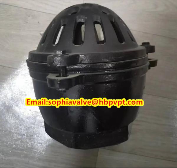 Buy cheap Pawofuou export BS21 cast iron foot valve from China from wholesalers
