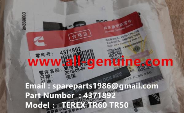 CUMMINS 4371892 SEAL NHL DUMP TRUCK TR35 TR50 TR60 TR100 3305B 3305F 3303 3307