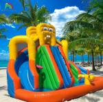 Commercial Water Slide Inflatable Kids Outdoor Double Lane Water Slide Bounce