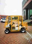 Customizable 60V Independent Front Suspension Golf Cart with 25-40 Mph Speed