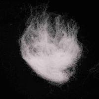 Buy cheap Packing Material 51mm PE/PP ES Fiber White Artificial Flame Retardant Fiber product