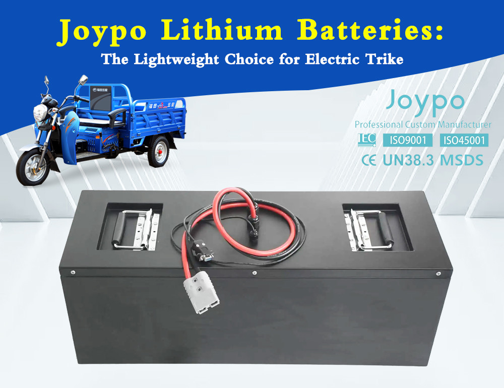Electric Cargo Tricycle Lithium Battery 48V 125Ah For 3 Wheel Electric Vehicle