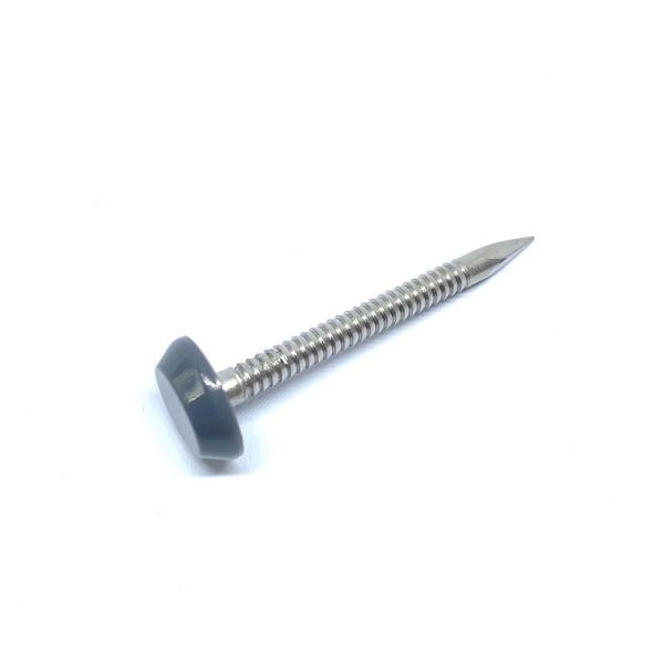 Buy cheap Low Profile Nylon Plastic Head Nails Of 316 Stainless Steel For Roofline from wholesalers