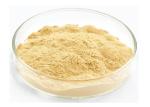 Natural Ginseng Extract Powder