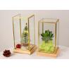 Buy cheap Glass artifact succulent cover copper golden gife package box jewelry accessories window display box Yiwu wholesale from wholesalers