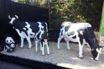 Outdoor Decoration Animatronic Animals , Electric Life Size Cow