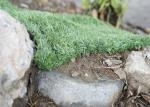 Double Needle Bar Artificial Grass Machine Raschel Warp Knitting Machine