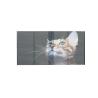 Buy cheap Airports Transparent Flexible Led Display Panel 256x128 Dots from wholesalers