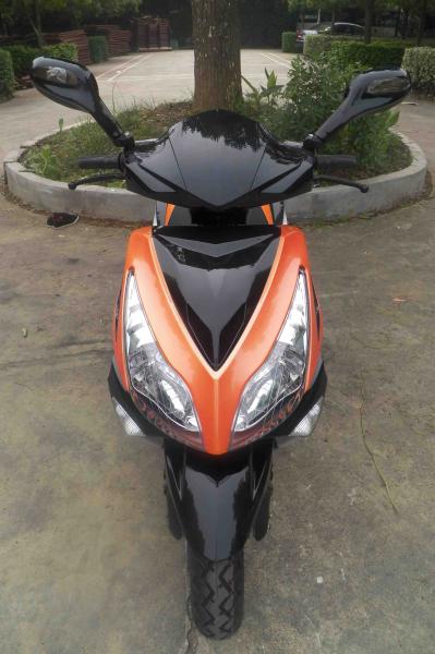 EEC DOT EPA PALADIN Ⅶ 50cc Gas 2-stroke 4-stroke single-cylinder air-cooled