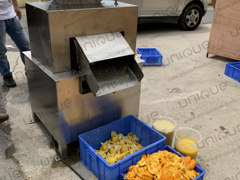 2000-3000 kg/h Capacity Orange and Lemon Juice Extractor for Fresh Commercial Juicing