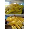 Buy cheap Promotional customized inflatable advertising banana can print LOGO/pattern from wholesalers