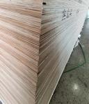 Furniture Wardrobe 12mm Birch Plywood 1250x2550 Birch Faced Plywood 18mm