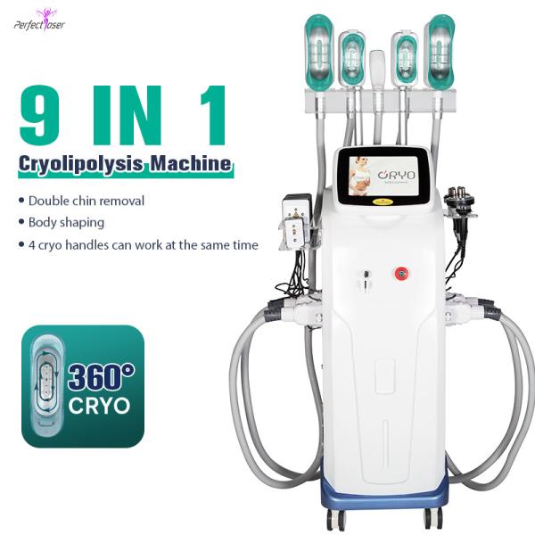 Buy cheap 360 Cryolipolysis Slimming Machine Coolsculpting Weight Loss 0kpa - 100kpa from wholesalers