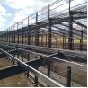 Buy cheap Commercial Steel Structural Building Galvanized Steel Frame Industrial Building from wholesalers