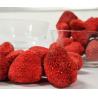 Buy cheap Stainless Steel Vacuum Freeze Drying Machine Automatic Quick Freezing Lyophilization from wholesalers