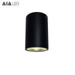IP65 waterproof ceiling mounted outdoor 12W COB LED downlight&exterior LED down