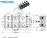 600V 300A High Current Terminal Block Heavy Voltage 45.00mm Electric Terminal