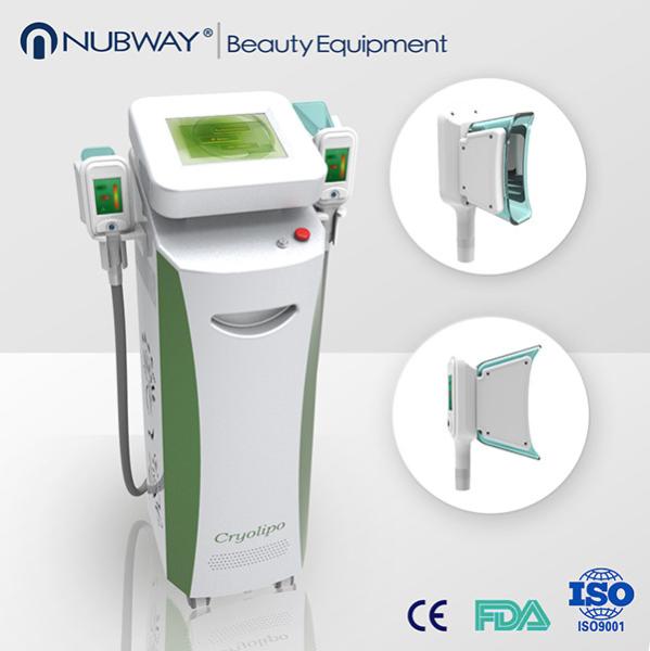 Buy cheap China supplier hot sale!!!2 handle Cryolipolisis Best Slimming Laser Beauty salon equipmen from wholesalers