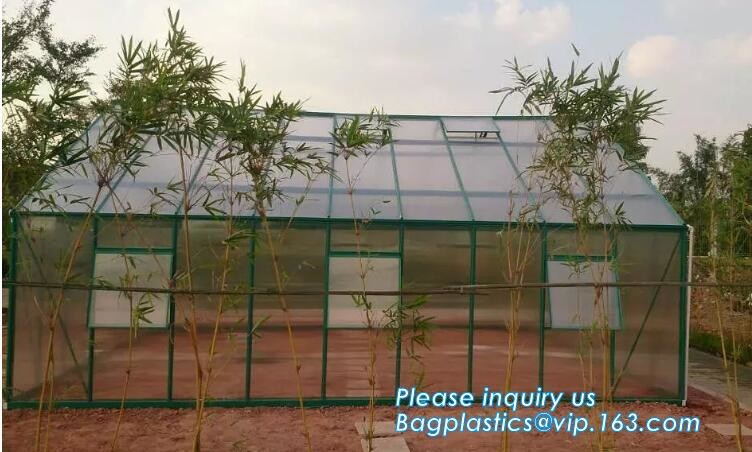 high quality tunnel single span galvanized arch green houses,Plant Large Walk in Greenhouse with Clear Cover for garden