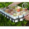 Buy cheap Durable Plastic Planter Tray 24 Hole Succulent Nursery Pot Cultivation Tray for Garden from wholesalers