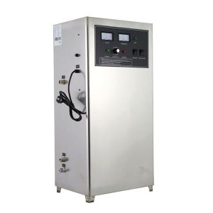 Water Treatment Ozone Generator 3G 10G with Intelligent Control Panel and