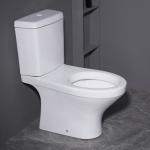 Washdown Floor Mounted Two Piece Toilets 3D Model Graphic Desgin